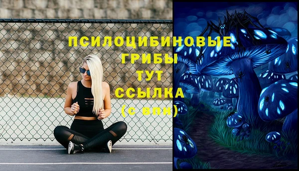гидра Сатка