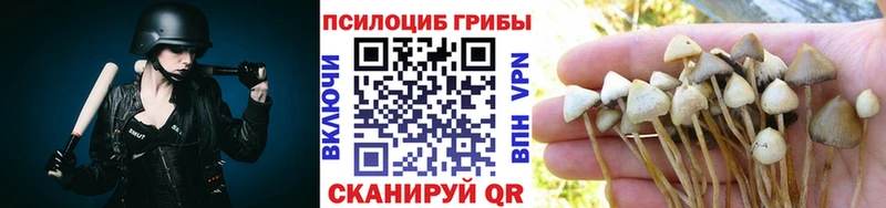 Псилоцибиновые грибы GOLDEN TEACHER Белинский