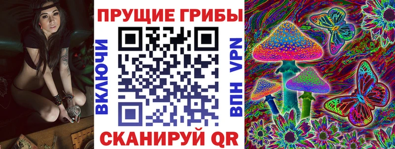 наркошоп  Белинский  Галлюциногенные грибы Cubensis 